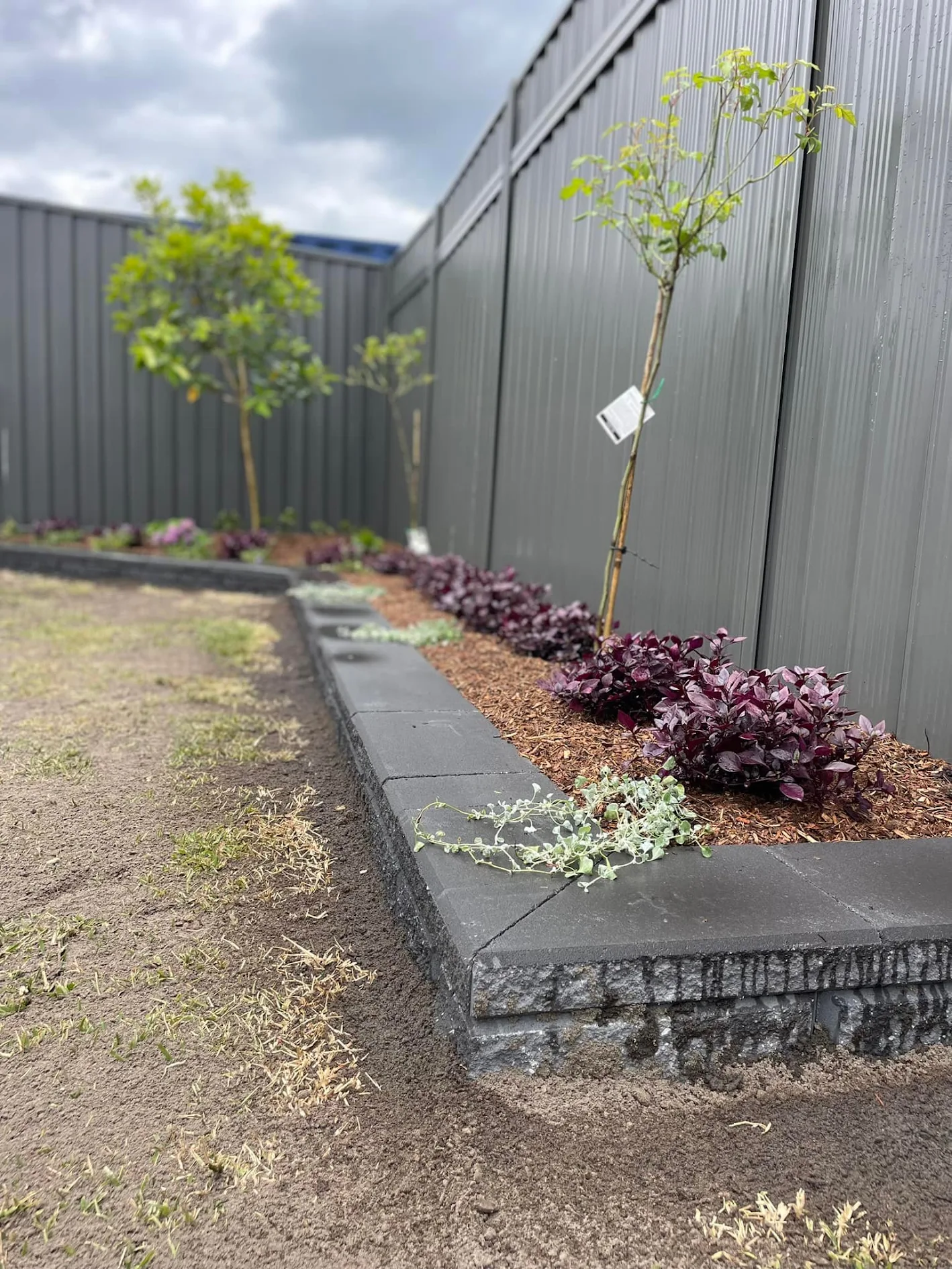 Caloundra Family Garden